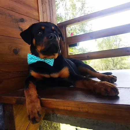 Drinska Laguna Apartmán