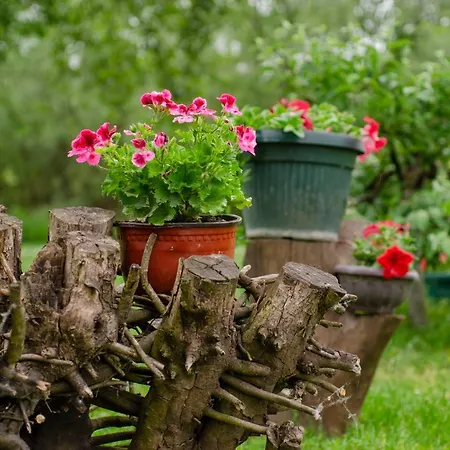 Drinska Laguna Apartmán